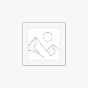 Ergonomic Wireless Mouse